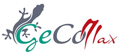 gecomax-logo-2-2
